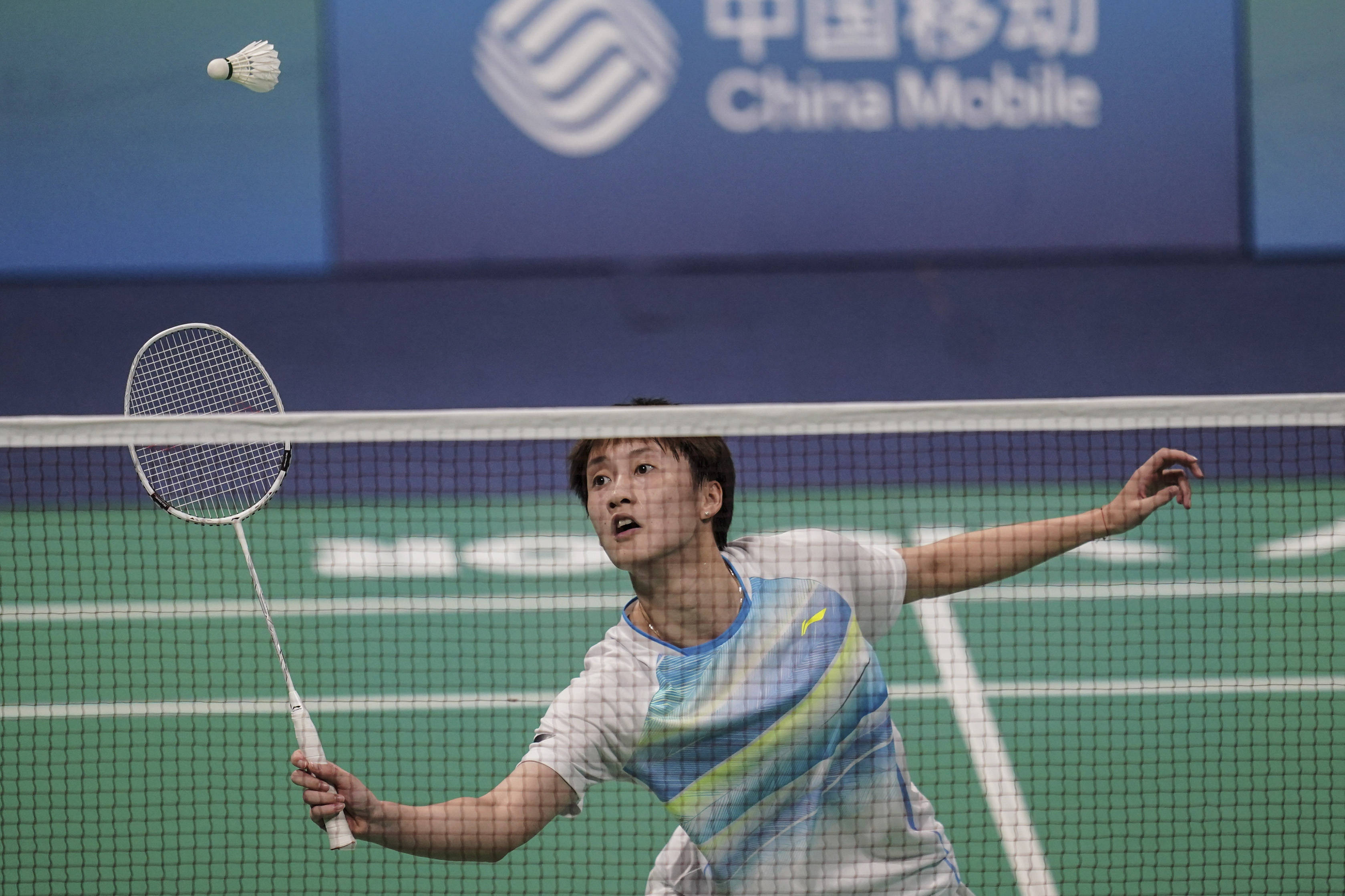 花的传控体 花的传控体