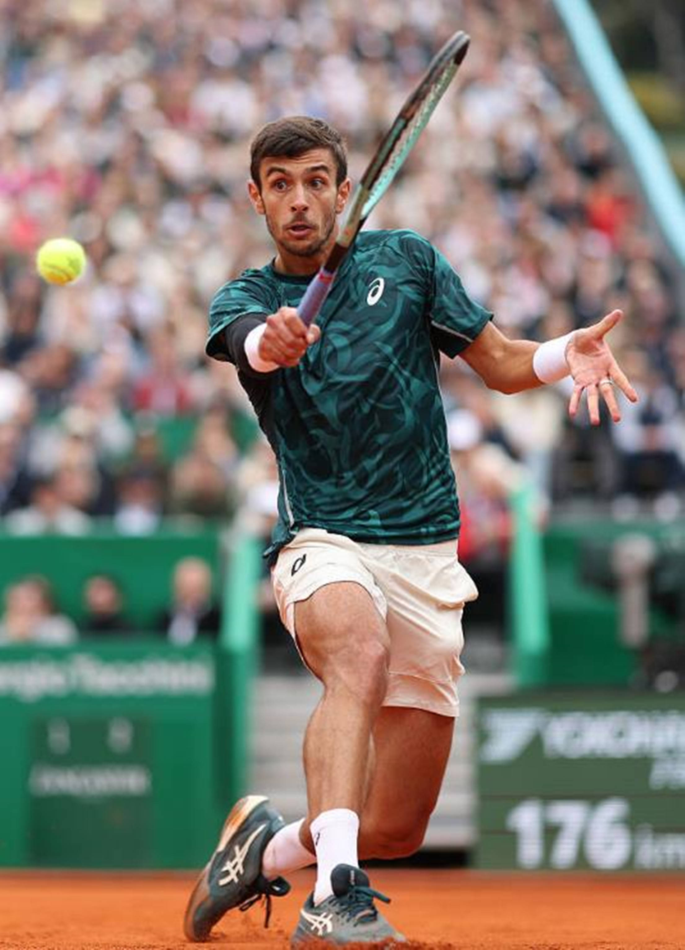 老鹰史诗级 老鹰史诗级